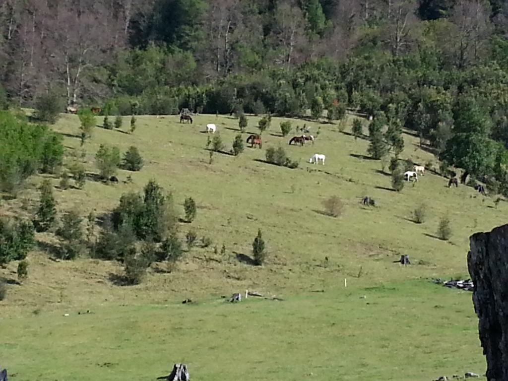 Buenavista Сasa de vacaciones