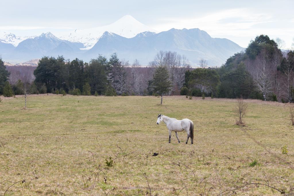 Сasa de vacaciones Buenavista Pucón