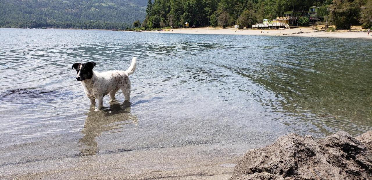 Сasa de vacaciones Buenavista
