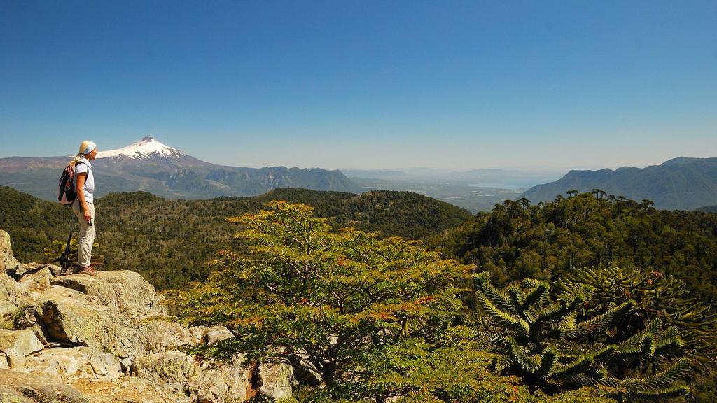 Buenavista *