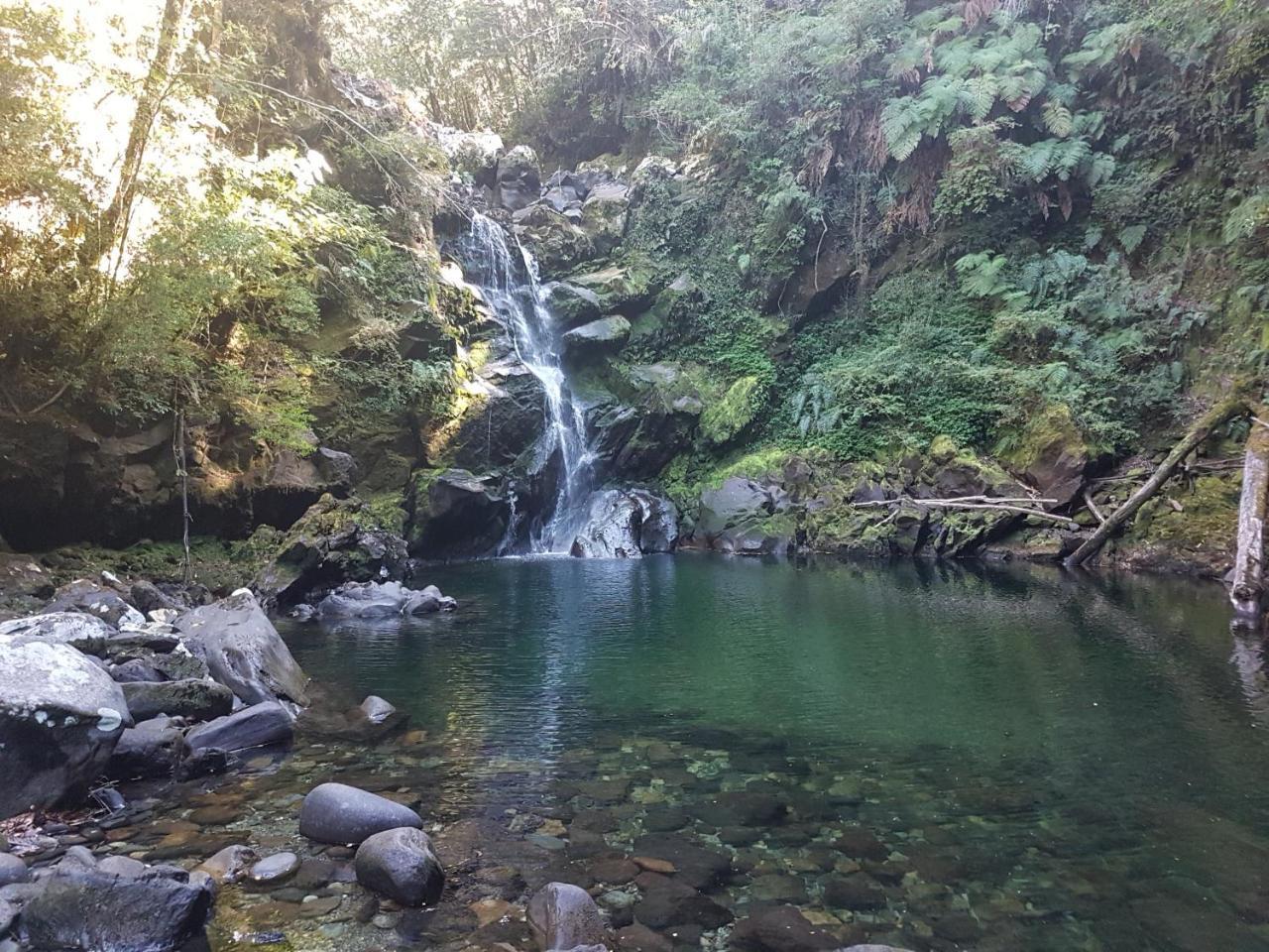 Buenavista *